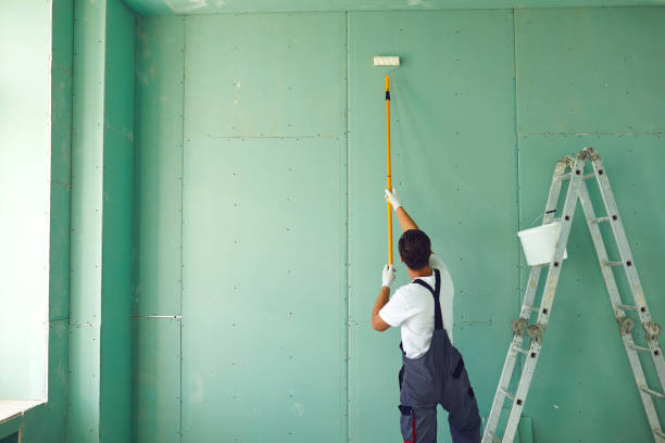 Best Mold Removal for HVAC Installations  in Wellsville, KS