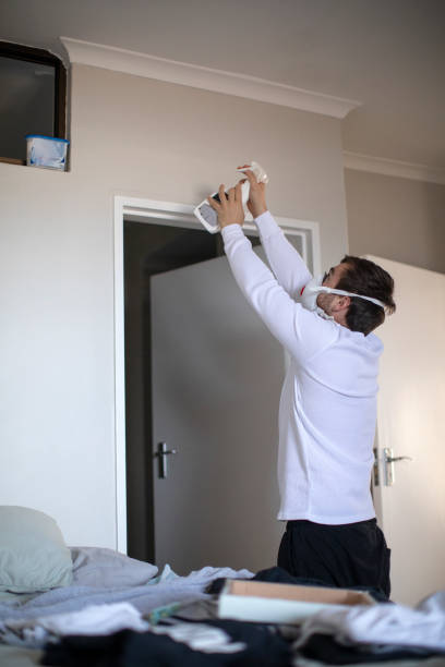 Best Residential Mold Inspection & Testing  in Wellsville, KS