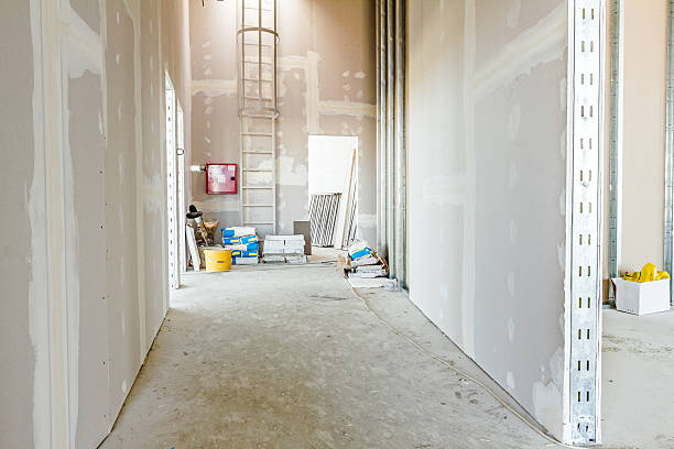 Best Black Mold Removal  in Wellsville, KS